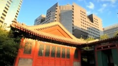 民乐群星 - 红旗飘飘 古筝独奏