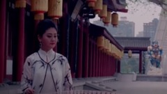 民乐群星 - 北国之春