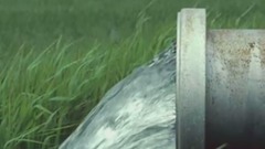 这群人把9600万颗的「小黑球」倒进水池里,还以为他们在破坏环境,没想到卻是拯救地球的一大发明...