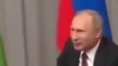 是不是真正爱狗,看抱狗的动作就知道了!