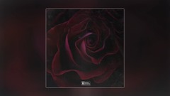 Chris Brown - Him Or Me