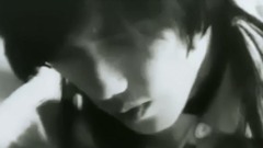 即使这世界欺骗了你