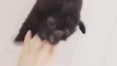 金泰妍的Zero第四则更新