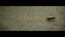 Nothing But Thieves - Sorry (Official Video)