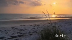 海边的陌生人 Stranger On The Shore