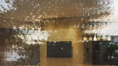 雷婷版【一生所爱】小黎的传说作品