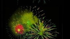 礼花怒放庆元旦