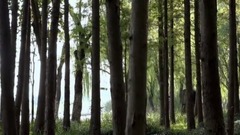 无锡<游渤公岛>