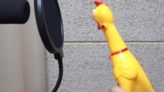 惨叫鸡翻唱<Shape Of You>