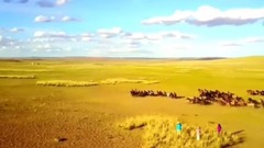 永远的乌兰牧骑