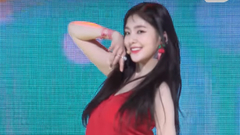 Red Flavor 直拍混剪