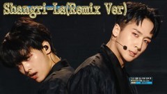 The Wind of Starlight & 桃源境(Remix Ver.)