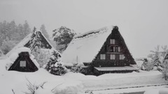 Bandari - Snowdream(雪之梦)