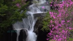 Nature et Plénitude