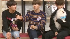 防弹少年团 金泰亨——逗狗