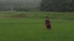 苏颂 - 夏无止尽