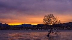 新西兰旅游视频 Trip to New Zealand