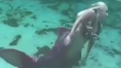 Lovely Mermaids(可爱的美人鱼)