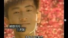 小虎队-蝴蝶飞