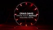 Craig David - I Know You (Vigiland Remix) (Audio)