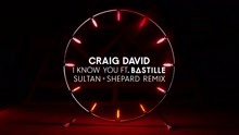 Craig David - I Know You (Sultan + Shepard Remix) (Audio)