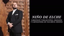 Niño de Elche - Caracoles y Malagueñas, Granaina y Cartagenera de Valcárcel Medina (Audio)