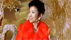 董文华 - 中国年