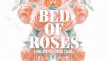 AfroJack - Afrojack & Stanaj - Bed Of Roses 歌词版