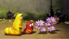 Eye Infection < Larva > Ep 53