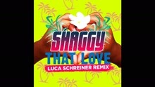 Nick Bakay - That Love (Luca Schreiner Remix [Audio])
