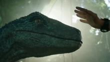  - 《侏罗纪世界：殒落国度》