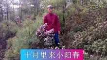  - 云南山歌：茫茫人海把你寻