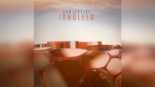 Goldie,James Davidson,Subjective - Inkolelo