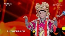  - 豫剧《花木兰》演唱：孙帅