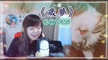  - 【鱼乾】Cover一首晚安
