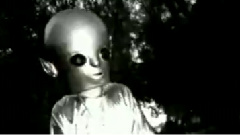 Eminem - Just Don't Give A Fuck