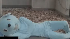 Stand Up! (クマスターVer.)