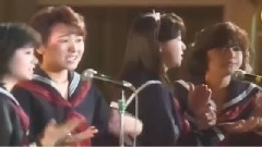 セーラー服を脱がさないで