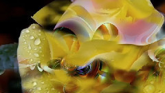 Giovanni Marradi,音乐短片 - Colors Music