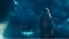 With An Orchid(和兰花在一起)