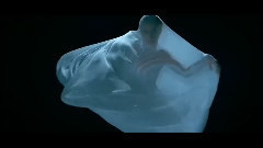 Night Terrors Of 1927 - Always Take You Back