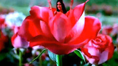 Giovanni Marradi,音乐短片 - Just For You