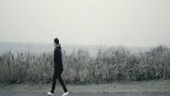 ソナーポケット - 戻らないﾗﾌﾞｽﾄｰﾘｰ