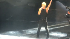 第29届金唱片颁奖礼