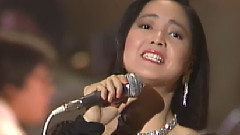 邓丽君 - つぐない 1984