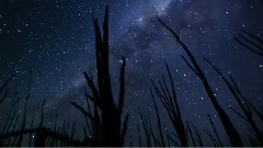 Gregorian,音乐短片 - Join Me