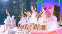 ラブラドール・レトリバー