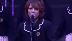 桜の花びらたち