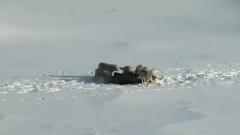 Electric Romeo - 困兽斗