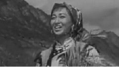 迎春花开满山坡